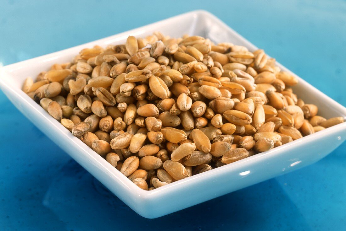 Grains of wheat in a bowl