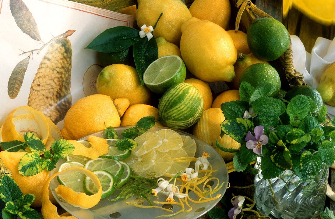 Stillleben mit Zitronen, Limetten und Zitronenmelisse