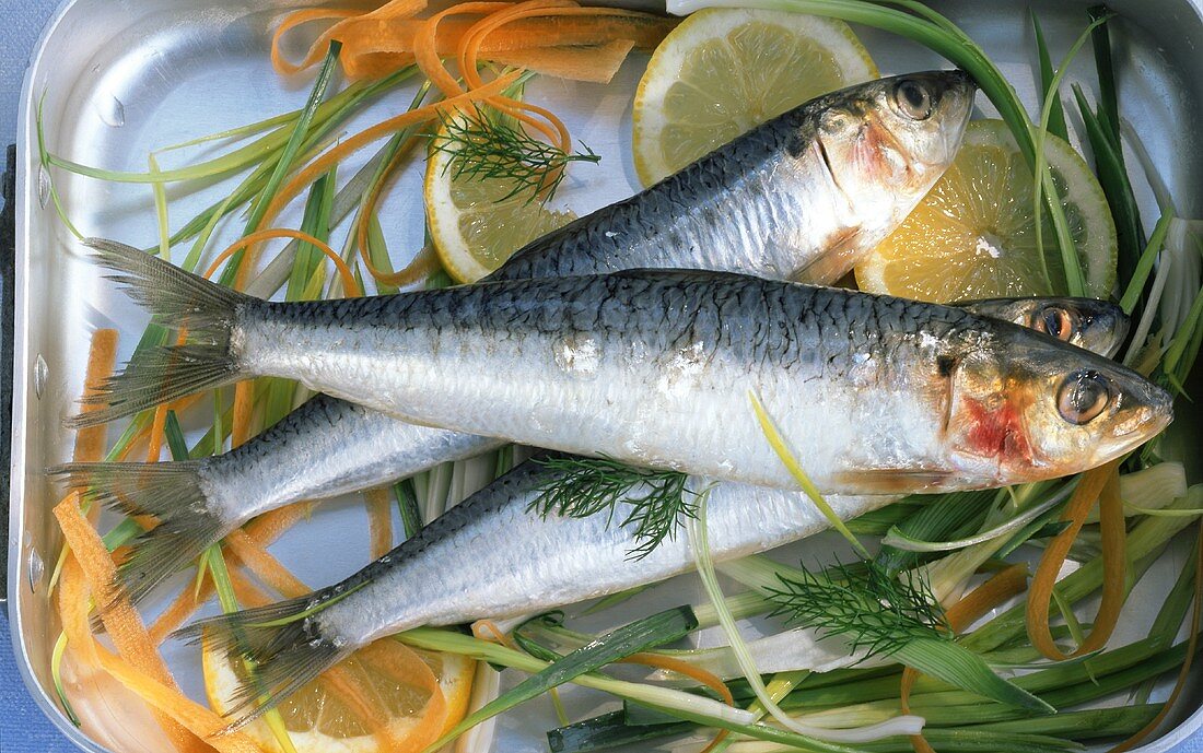 Sardines with vegetables and lemons in roasting tin