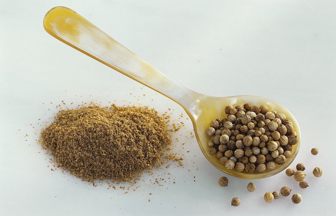 Coriander seeds in spoon and ground coriander