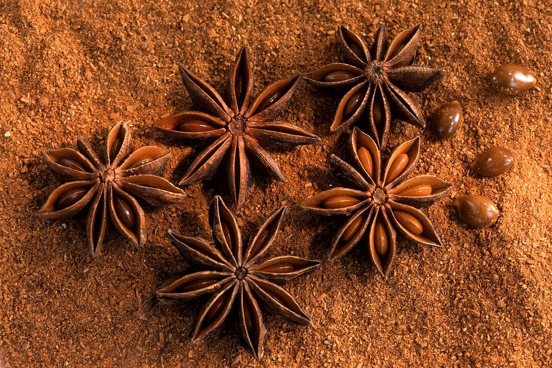 Star anise with seeds on ground star anise