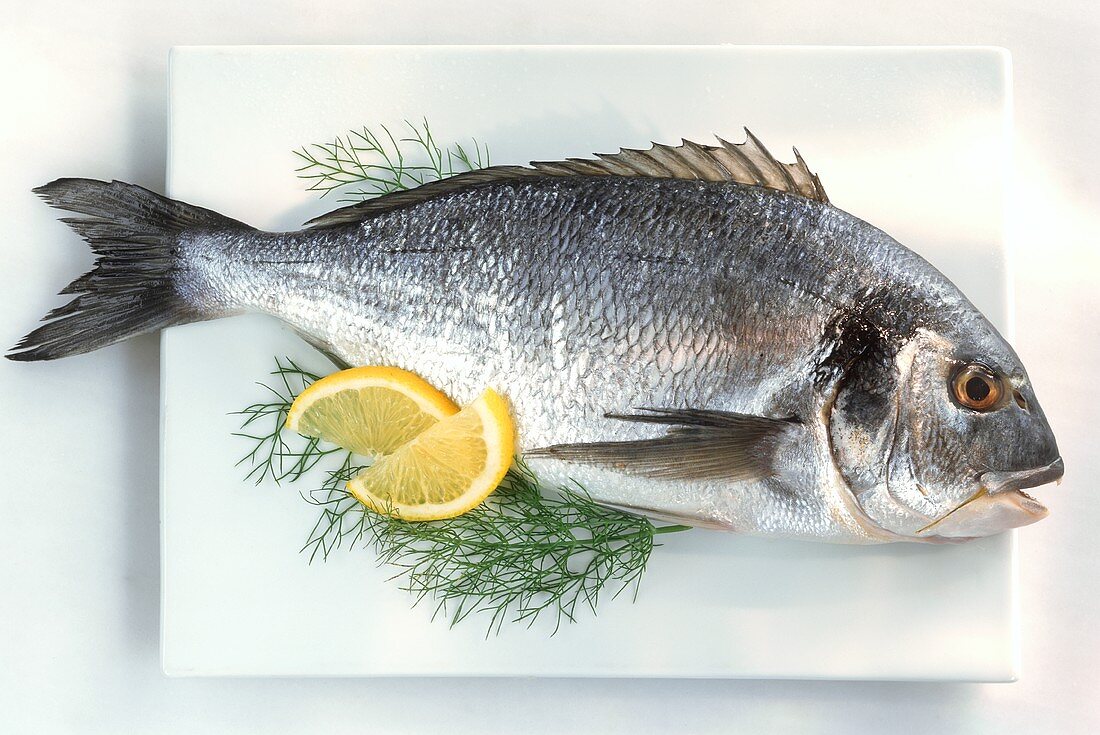 Gilthead bream with lemon and dill