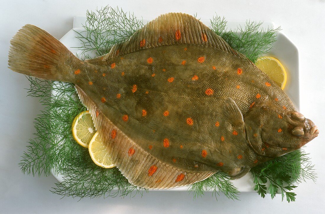 Plaice with lemon and dill