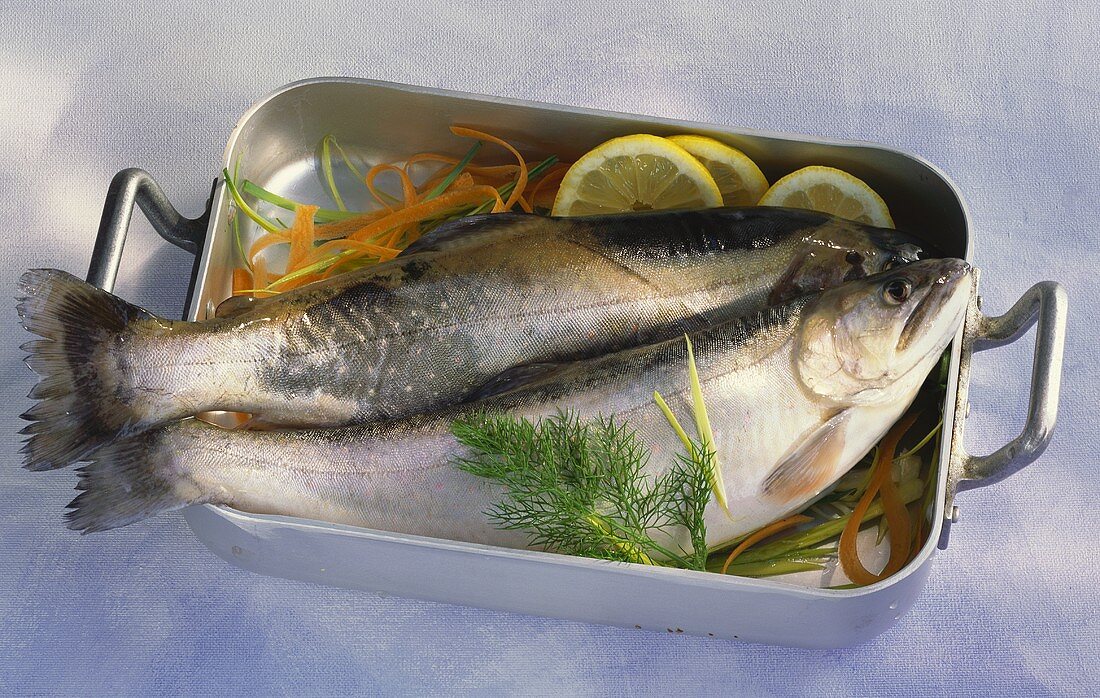 Fresh brook trout in roasting tin