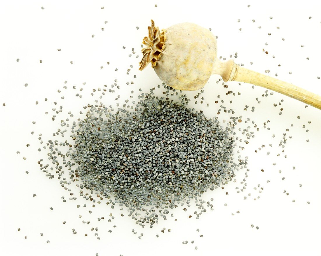 Poppy seeds and poppy seed capsule