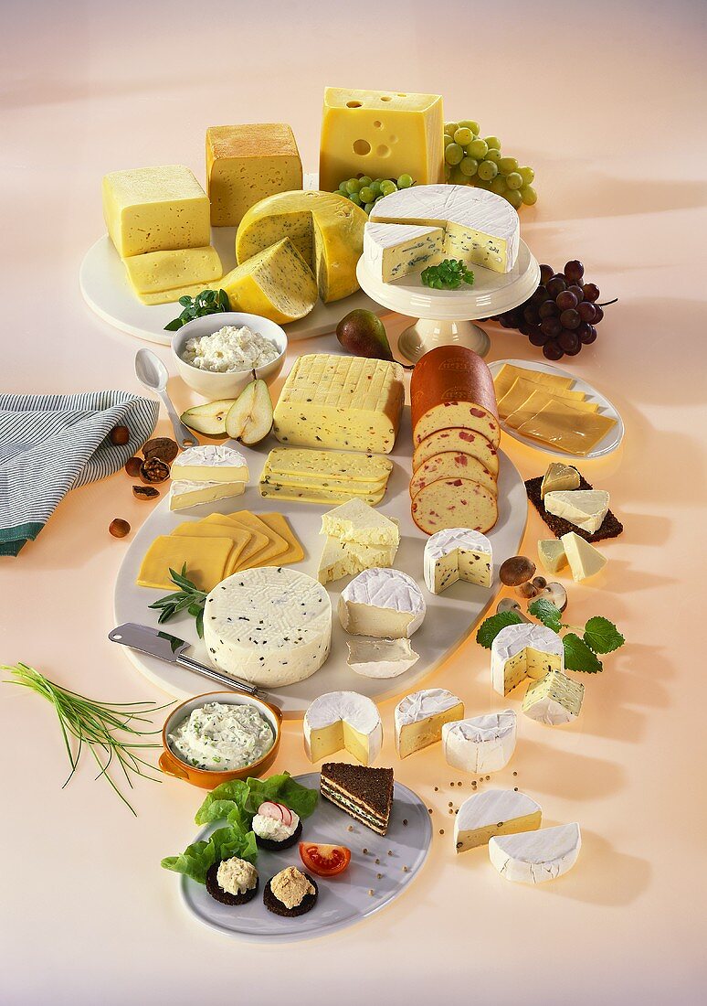 Many different types of cheese