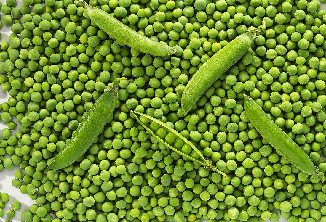 Fresh peas and pea pods (filling the picture)