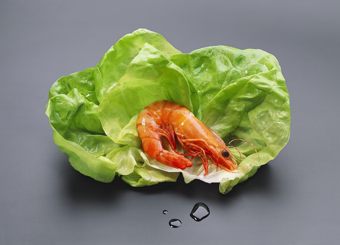 Shrimp on lettuce leaf