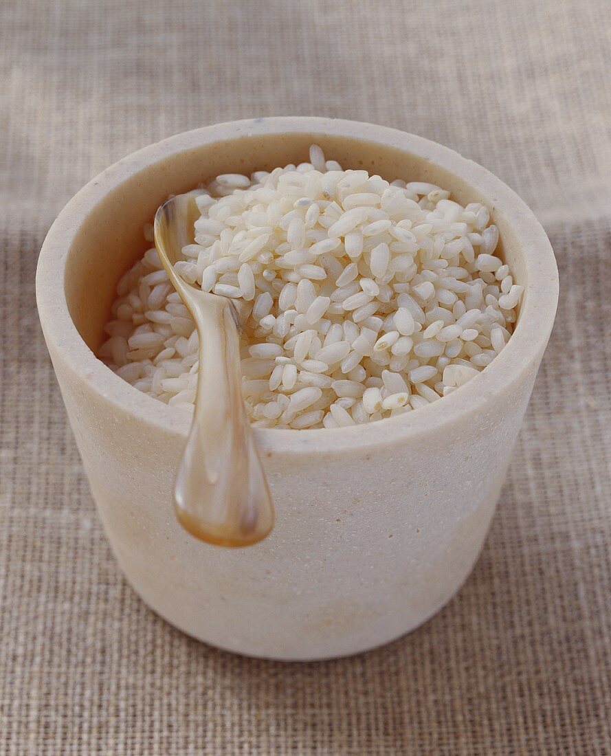 Arborio rice in bowl with spoon