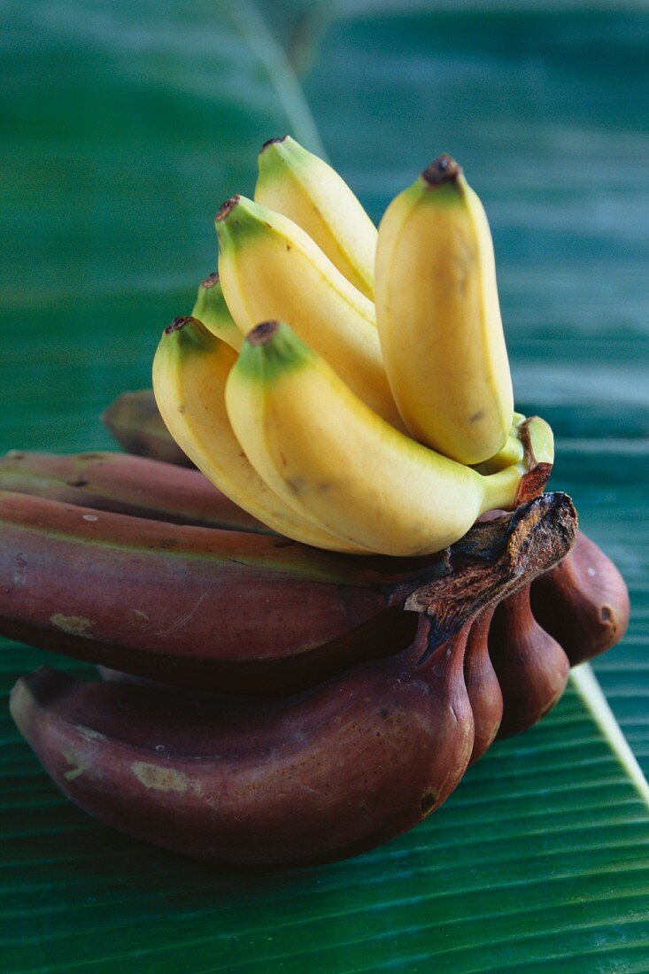 Yellow and red bananas