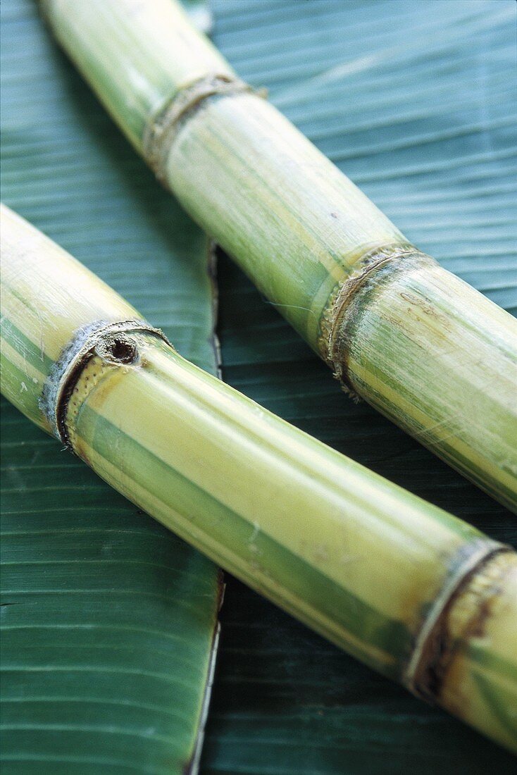 Sugar cane on palm leaves