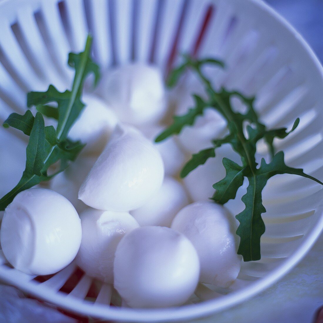 Mozzarella and rocket in sieve