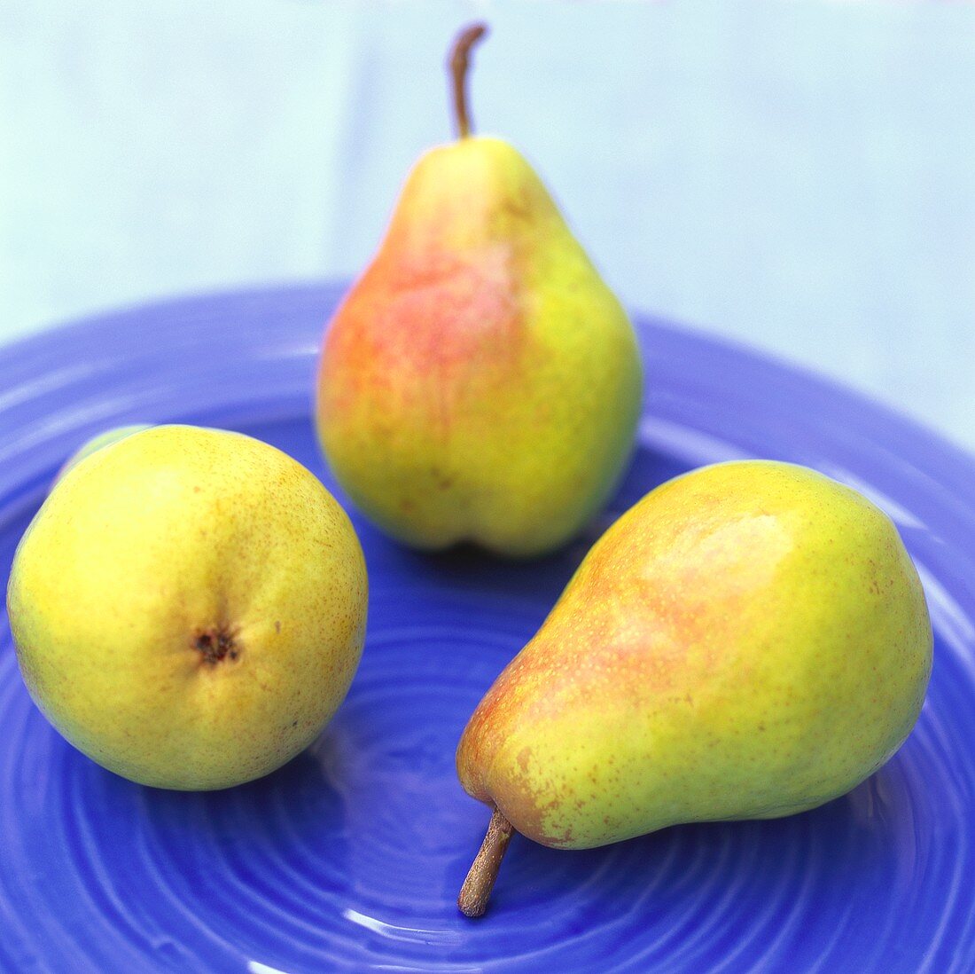 Three pears on blue plate
