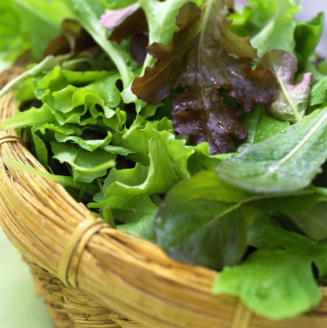 Fresh lettuce leaves in basket