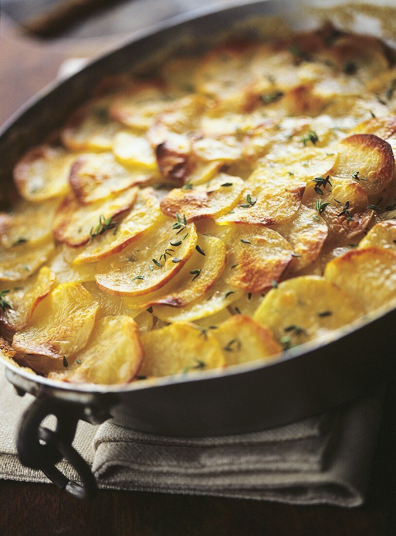 Potato gratin with thyme