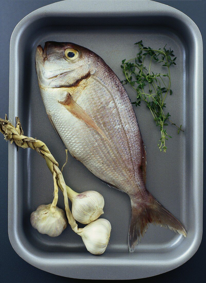Redfish with garlic and herbs in roasting tin