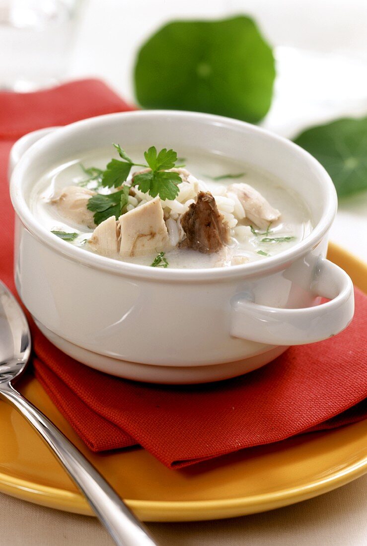 Lemon soup with chicken and parsley