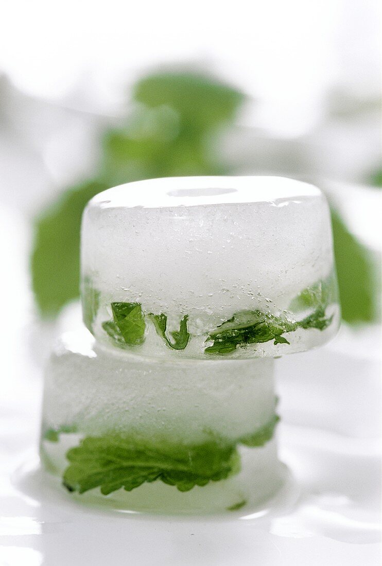 Two ice cubes with herbs