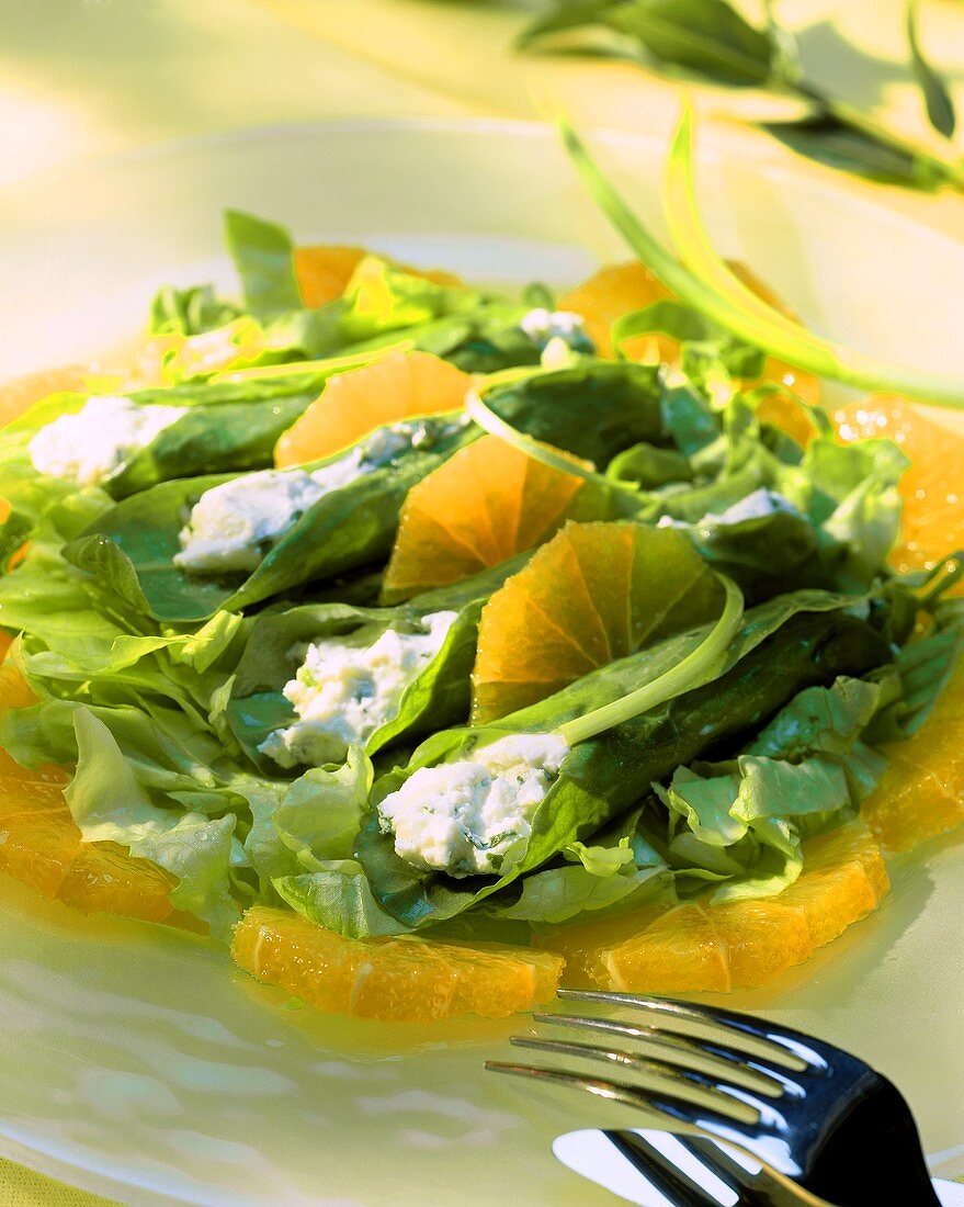 Blattsalat mit Orangen und Frischkäse