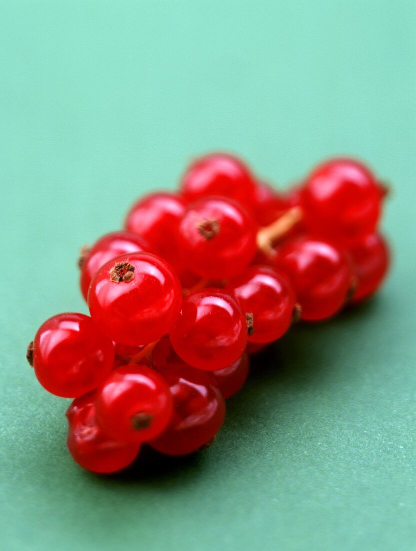 Rote Johannisbeeren