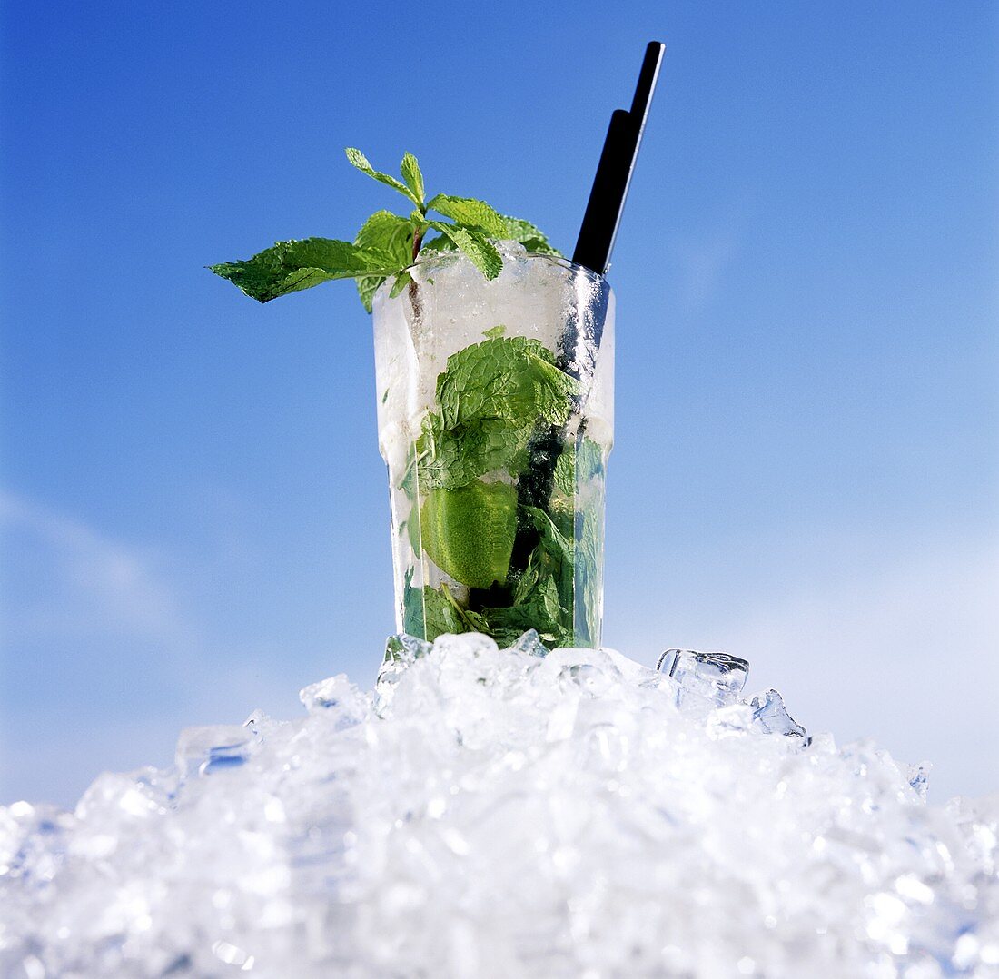 Lime drink with fresh mint on ice
