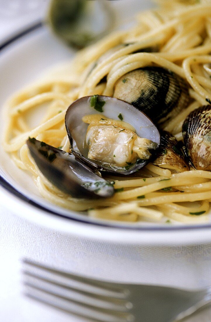 Spaghetti vongole (Spaghetti mit Venusmuscheln, Italien)