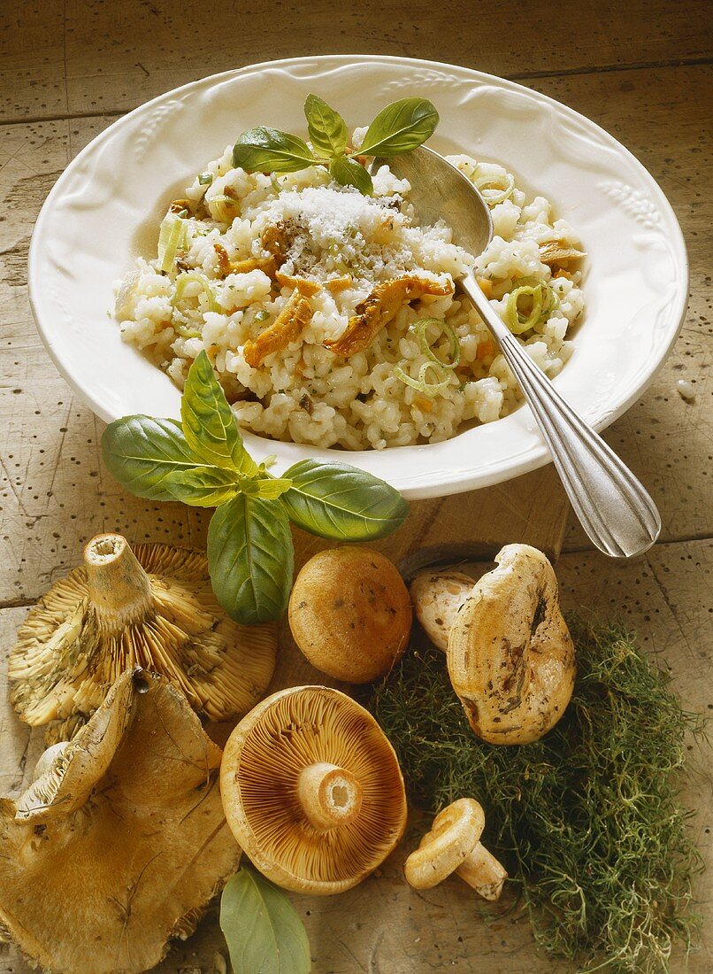 Risotto with autumn mushrooms (Piedmont, Italy)