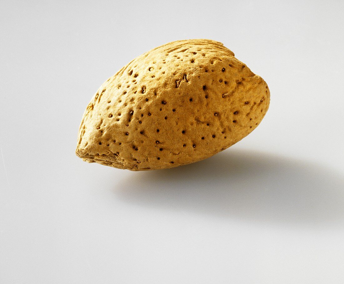 Unshelled almond