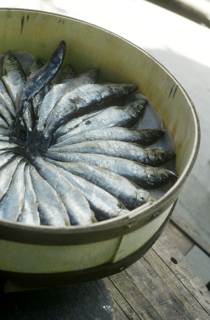 Pickled anchovies in chip basket