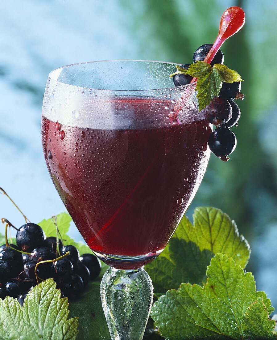 Schwarzer Johannisbeersaft im Glas