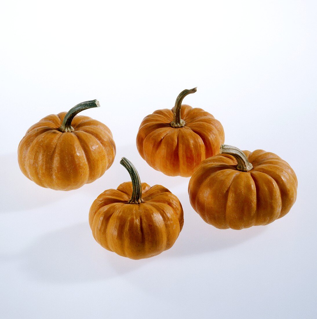 Four pumpkins (Jack be little or Mandarin)