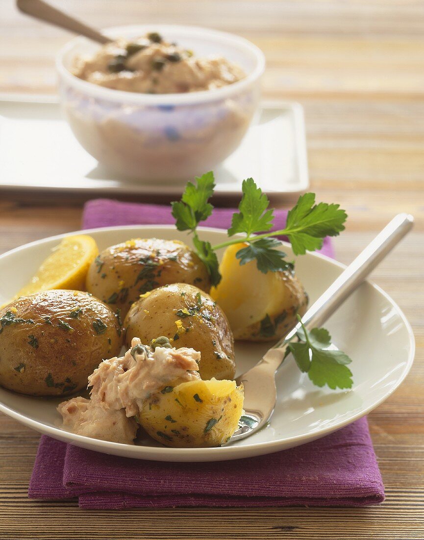 New potatoes with tuna dip and parsley