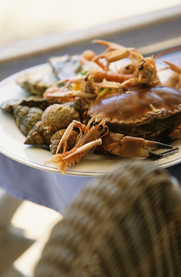 Plate of seafood with crab etc.