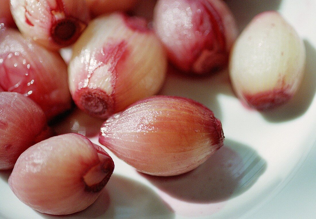 Red wine shallots on plate