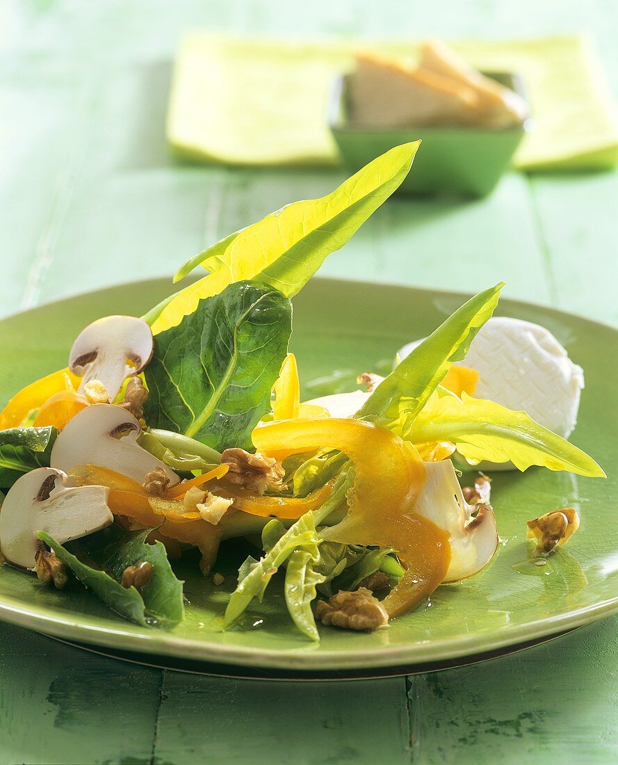 Salad leaves with goat's cheese, peppers and nuts