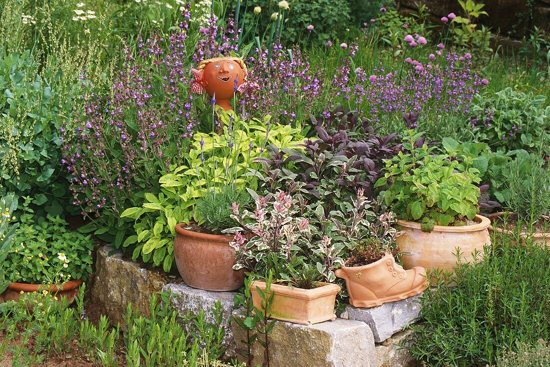 Herb garden with terracotta head