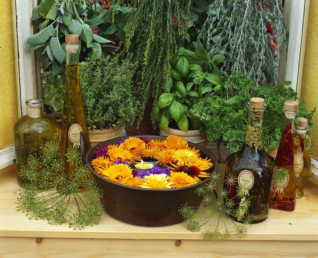 Herb oils, sunflowers and fresh herbs on window sill