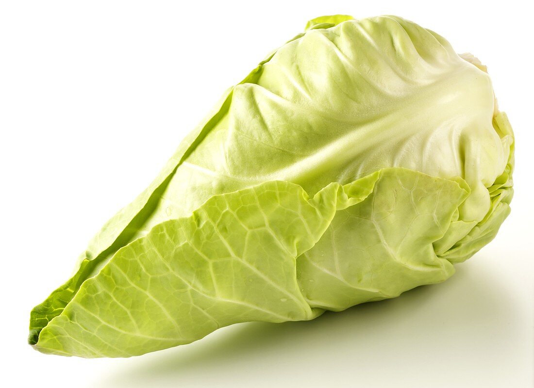 Pointed cabbage