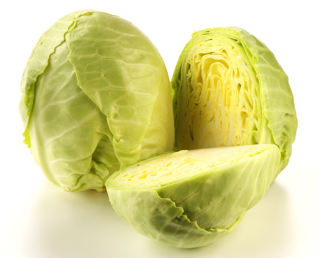 Young white cabbage