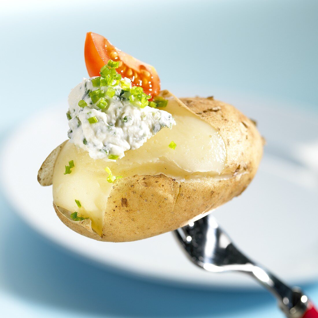 Boiled potato with herb quark and tomato on fork