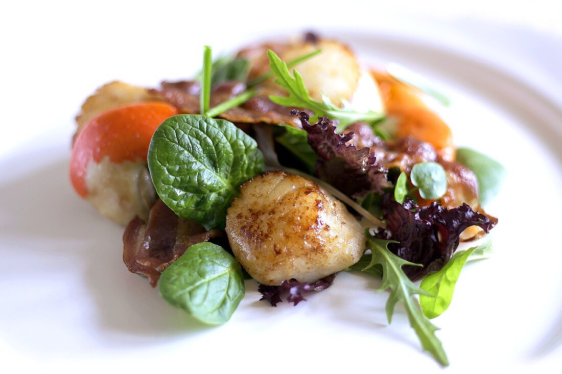 Blattsalat mit gebratenen Jakobsmuscheln