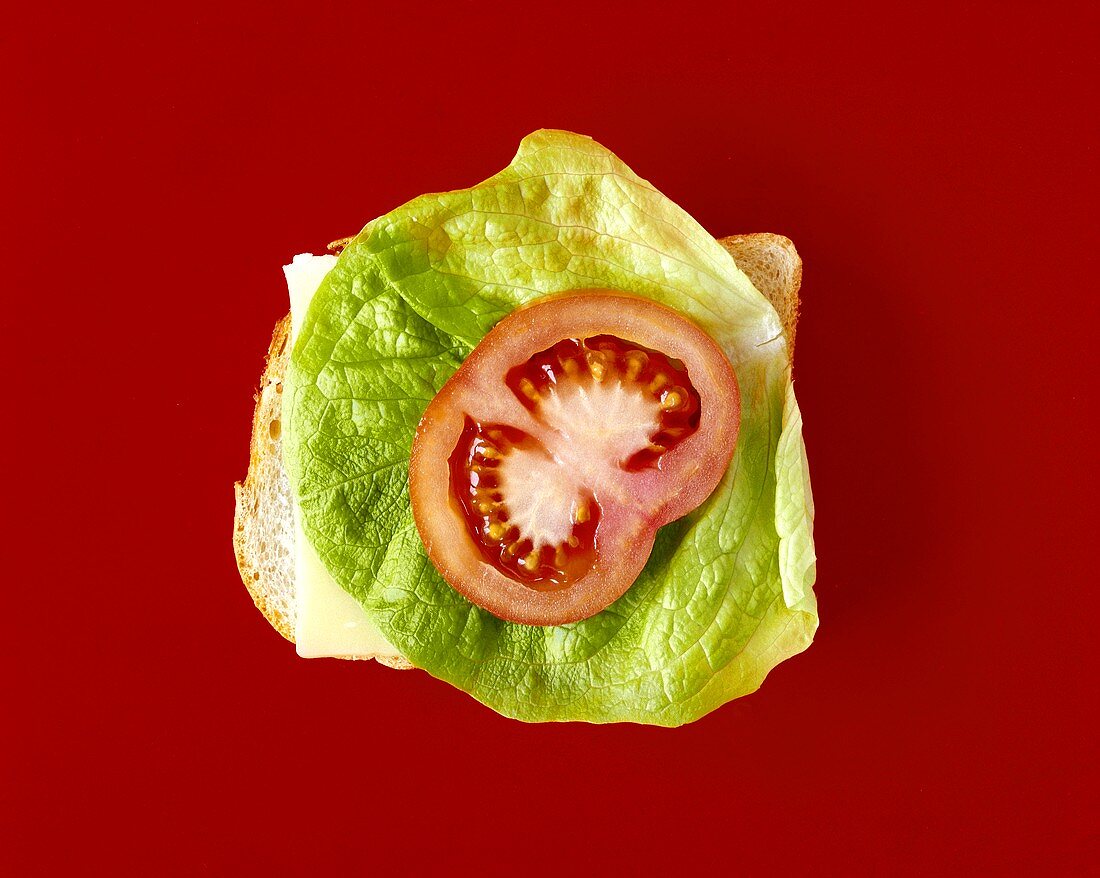 White bread topped with cheese, lettuce leaf and tomato