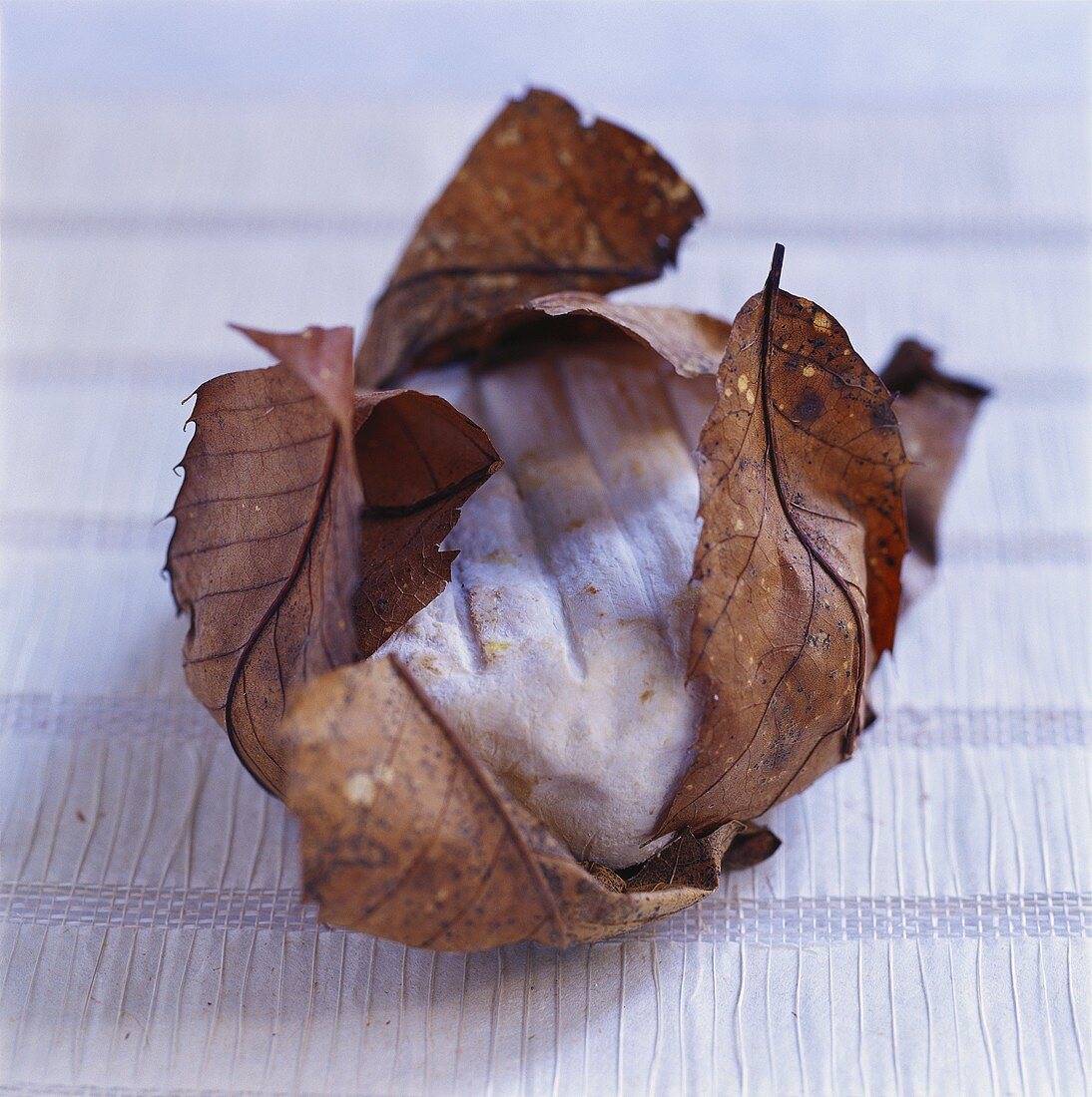 Goat's cheese in chestnut leaves (Banon au feuille)