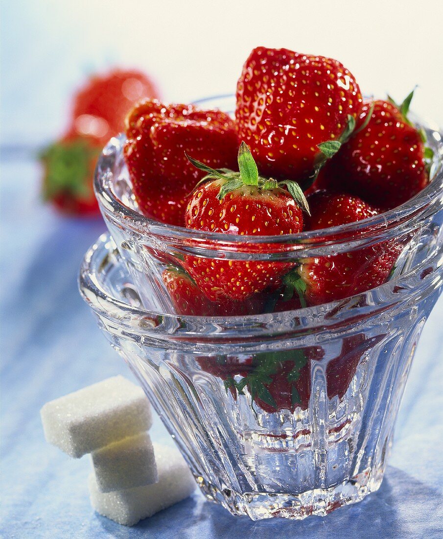 Fresh strawberries in glass bowl; sugar cubes