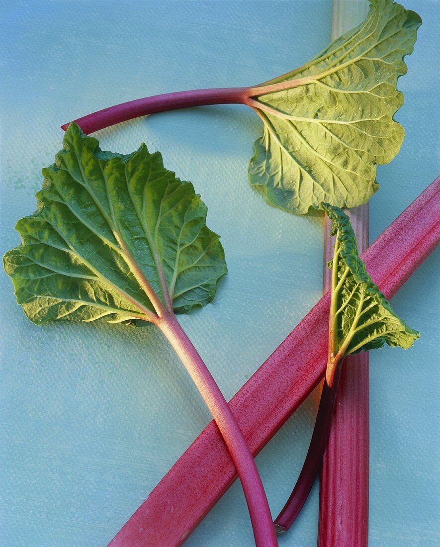 Rhubarb