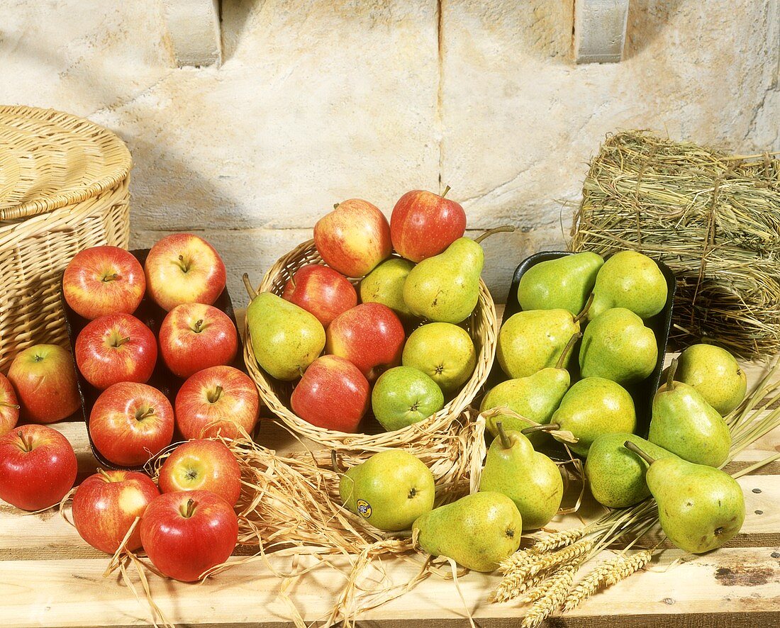 Rustic still life with apples and pears