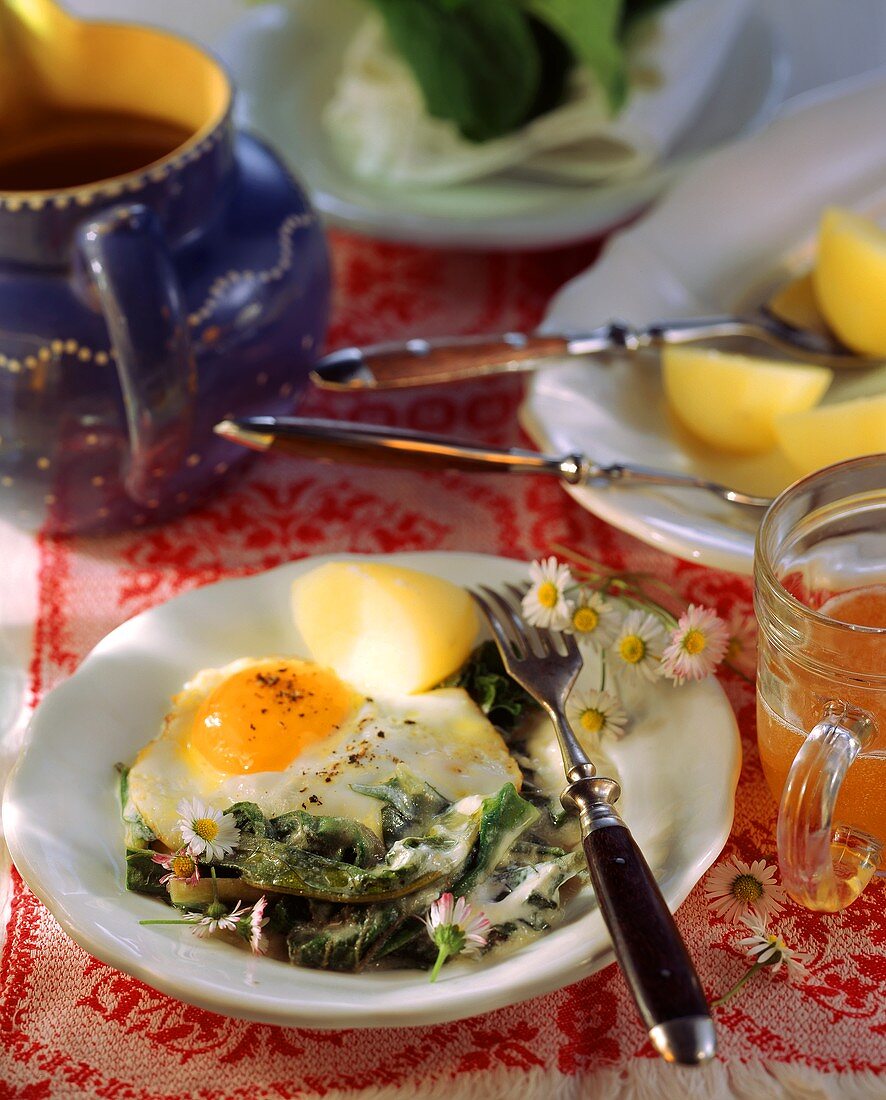 Meadow vegetables with fried egg and potatoes