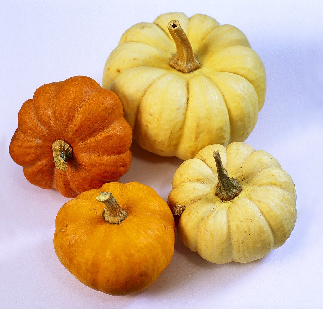 Various pumpkins: Baby Boo and Jack be Little