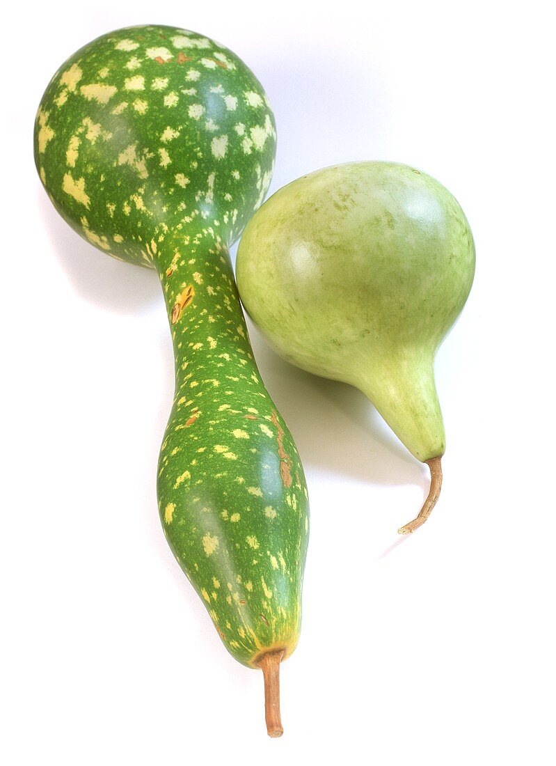 Two different bottle gourds
