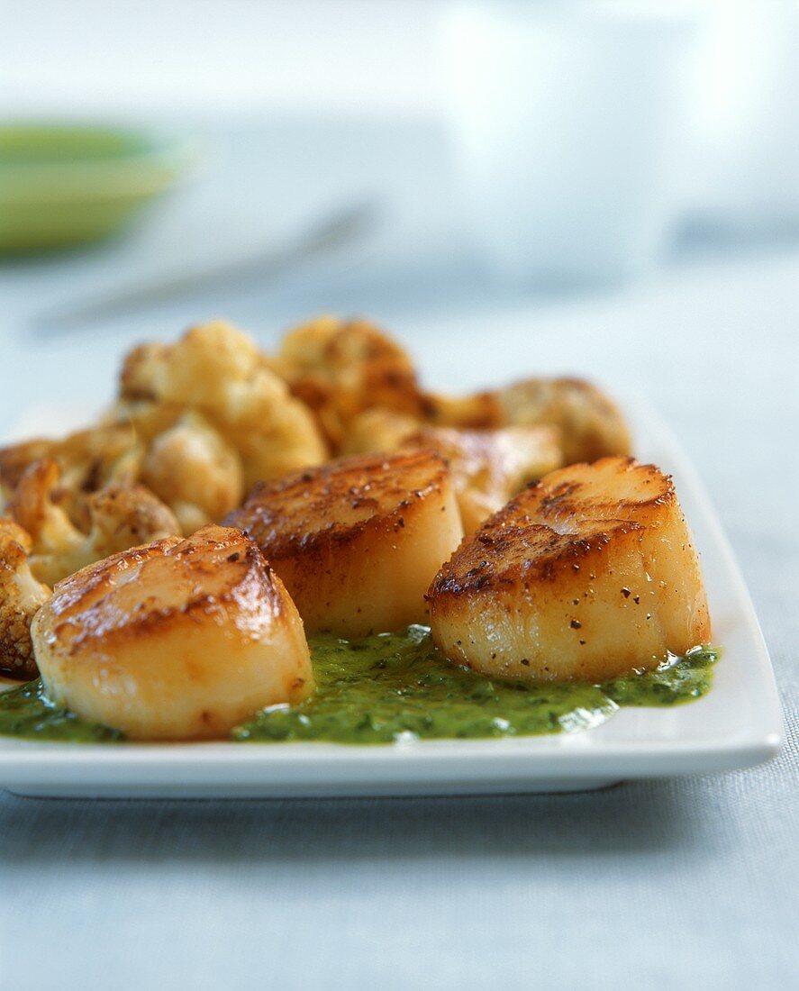 Gebratene Jakobsmuscheln mit Salsa verde und Blumenkohl